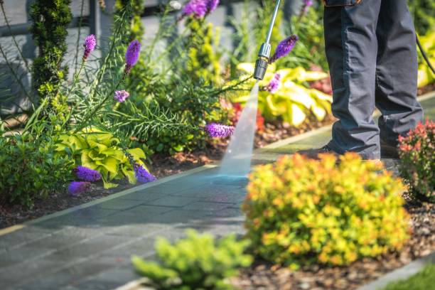 Best House Exterior Washing  in Athens, PA